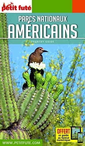 ARCS NATIONAUX AMERICAINS 2018-2019 PET, de Dominique Auzias | portada del libro