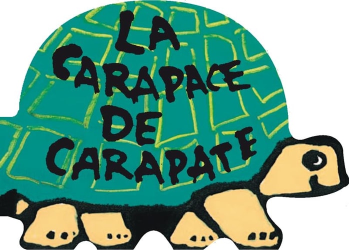 LA VIE EN ROND -LA CARAPACE DE CARAPATE NE, de Bénédicte Guettier | portada del libro