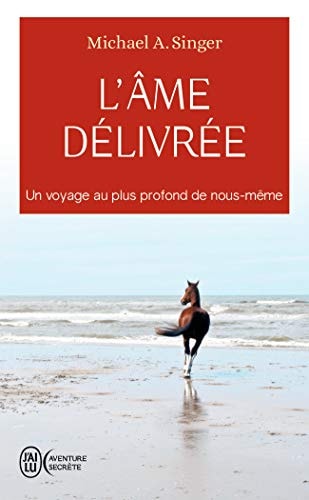 'AME DELIVREE, de Michael A. Singer | portada del libro