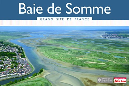 AIE DE SOMME 2015, de Collectif | portada del libro