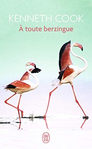 A toute berzingue, de Kenneth Cook | portada del libro