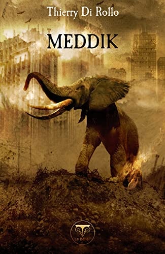 MEDDIK, de Thierry Di Rollo | portada del libro