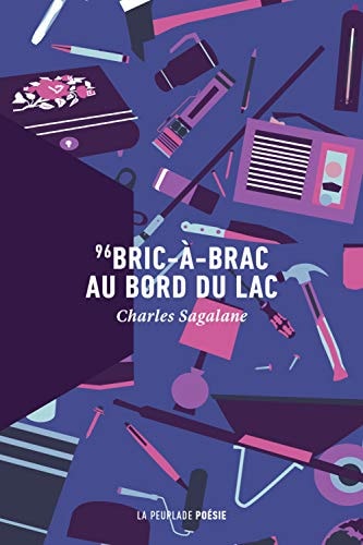 96 BRIC A BRAC AU BORD DU LAC, de Charles Sagalane | portada del libro