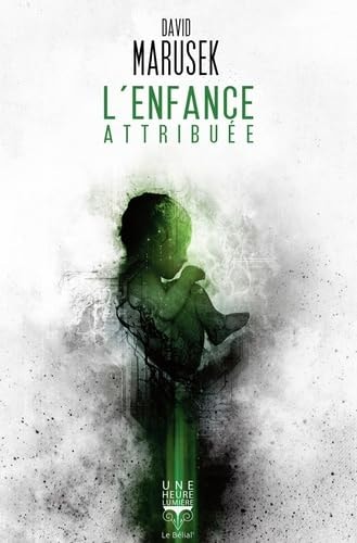 L'ENFANCE ATTRIBUEE, de David Marusek | portada del libro
