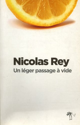 UN LEGER PASSAGE A VIDE, de REY NICOLAS | portada del libro