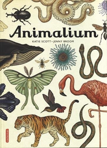 ANIMALIUM, de Jenny Broom | portada del libro