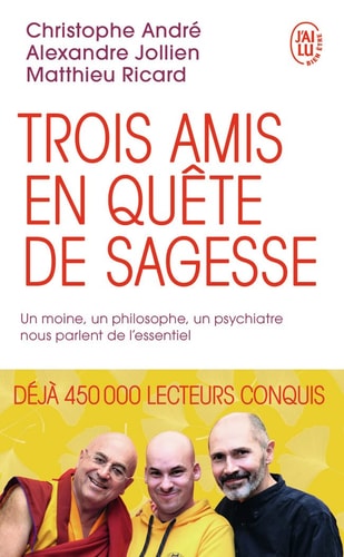 ROIS AMIS EN QUETE DE SAGESSE, de Christophe André | portada del libro
