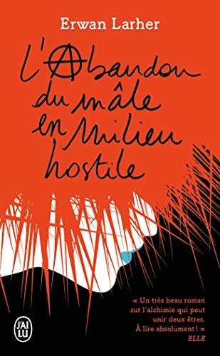 'ABANDON DU MALE EN MILIEU HO, de Erwan Larher | portada del libro