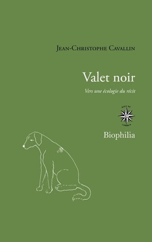VALET NOIR, de CAVALLIN JEAN-C | portada del libro