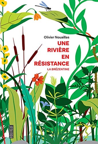 UNE RIVIERE EN RESISTANCE, de Olivier Nouaillas | portada del libro