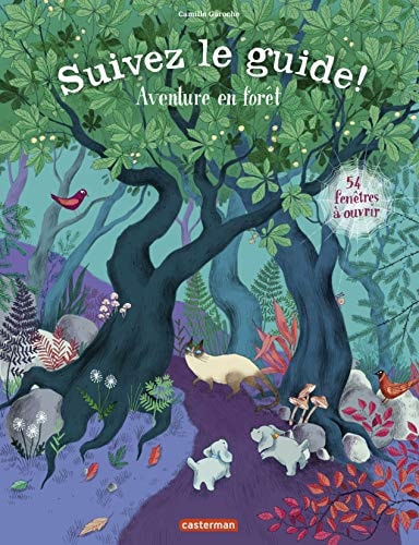 SUIVEZ LE GUIDE -AVENTURE EN FORET, de Camille Garoche | portada del libro