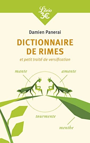 ICTIONNAIRE DE RIMES ET PETIT, de Damien Panerai | portada del libro