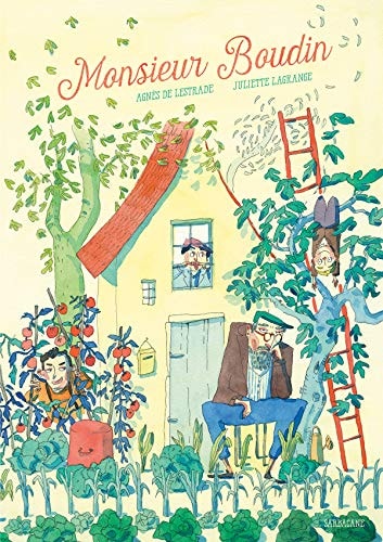 Monsieur Bodin, de Agnès de Lestrade | portada del libro