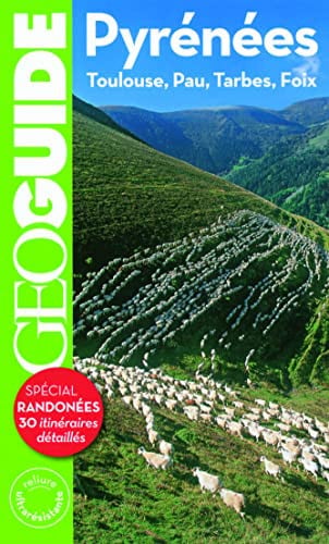 PYRENEES, de COLLECTIFS GALL | portada del libro