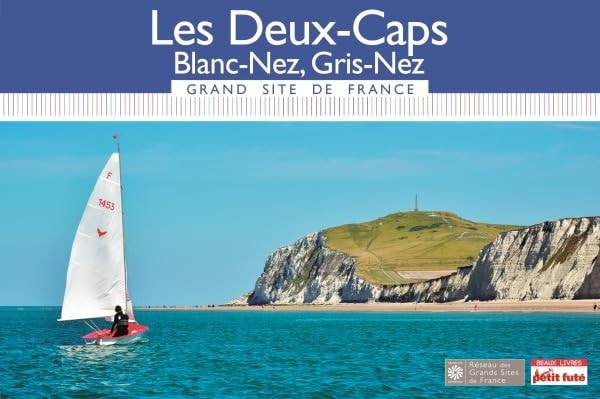 ES DEUX CAPS BLANC NEZ, GRIS-NEZ 2016 P, de Marie Joncquet | portada del libro