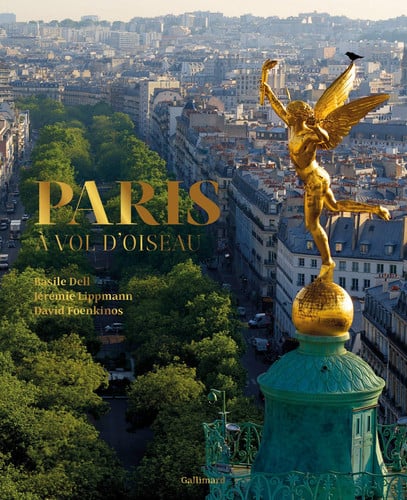 PARIS A VOL D'OISEAU, de FOENKINOS#DELL# | portada del libro