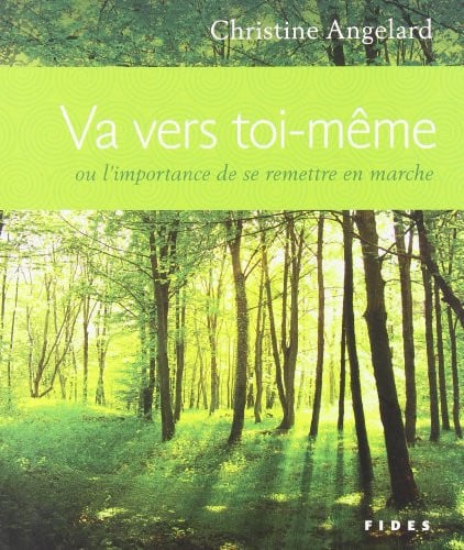 VA VERS TOI MEME OU L'IMPORTANCE DE SE REMETTRE EN MARCHE, de ANGELARD CHRIS | portada del libro