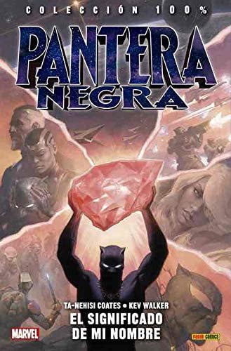 COLECCION 100% PANTERA NEGRA 2 EL SIGNIFICADO DE MI NOMBRE, de AA.VV. | portada del libro
