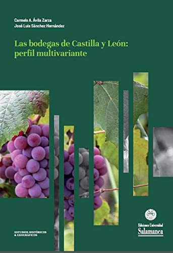 BODEGAS DE CASTILLA Y LEON PERFIL MULTIVARIANTE, de ÁVILA ZARZA | portada del libro