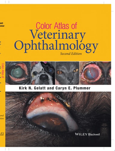 COLOR ATLAS OF VETERINARY OPHTHALMOLOGY 2ND EDITION, de Kirk N. Gelatt | portada del libro