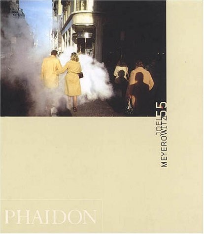 MEYEROWITZ, JOEL, de Colin Westerbeck | portada del libro