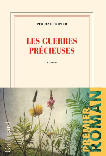 LES GUERRES PRECIEUSES, de Perrine Tripier | portada del libro