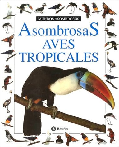 SALDO ASOMBROSAS AVES TROPICALES, de AA.VV. | portada del libro
