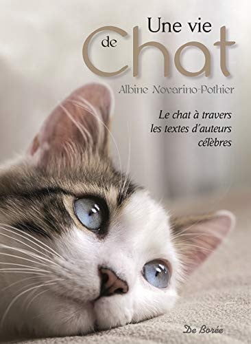 UNE VIE DE CHAT, de NOVARINO-POTHIE | portada del libro