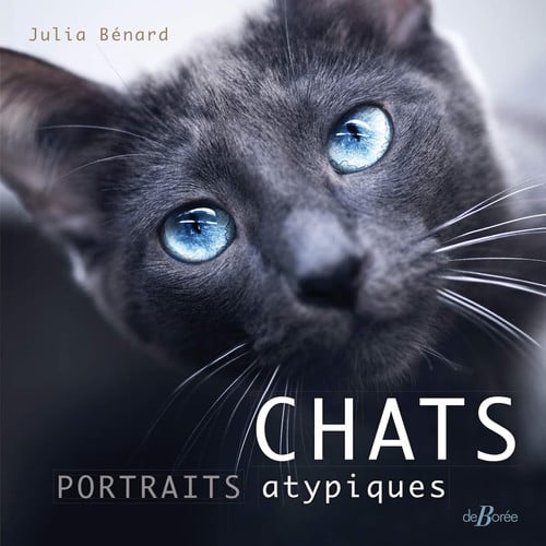 CHATS PORTRAITS ATYPIQUES, de BENARD JULIA | portada del libro