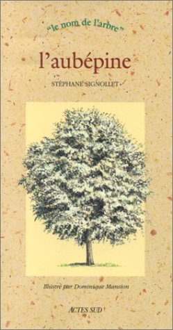 LAUBEPINE, de Stéphane Signollet | portada del libro
