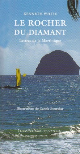 LE ROCHER DU DIAMANT, de White | portada del libro