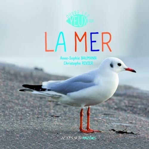 OUVRE LES YEUX SUR LA MER, de Anne-Sophie Baumann | portada del libro