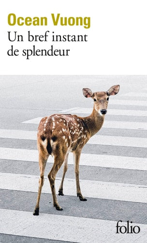 UN BREF INSTANT DE SPLENDEUR, de Ocean Vuong | portada del libro