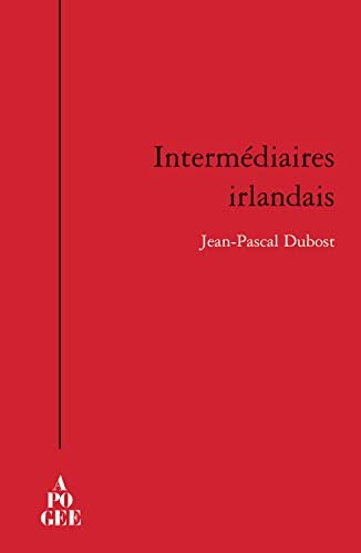 INTERMEDIAIRES IRLANDAIS, de Jean-Pascal Dubost | portada del libro