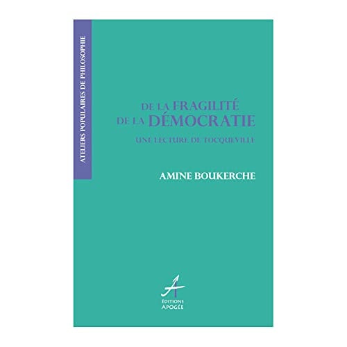 DE LA FRAGILITE DE LA DEMOCRATIE LECTU, de Amine Boukerche | portada del libro
