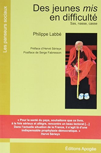 DES JEUNES MIS EN DIFFICULTES, de Philippe Labbé | portada del libro