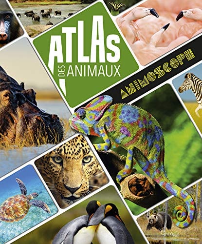 ATLAS DES ANIMAUX, de Virginie Jobé-Truffer | portada del libro