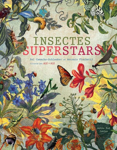 INSECTES SUPERSTARS, de Sol Camacho-Schlenker | portada del libro