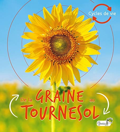 DE LA GRAINE AU TOURNESOL, de Camilla De La Bédoyère | portada del libro
