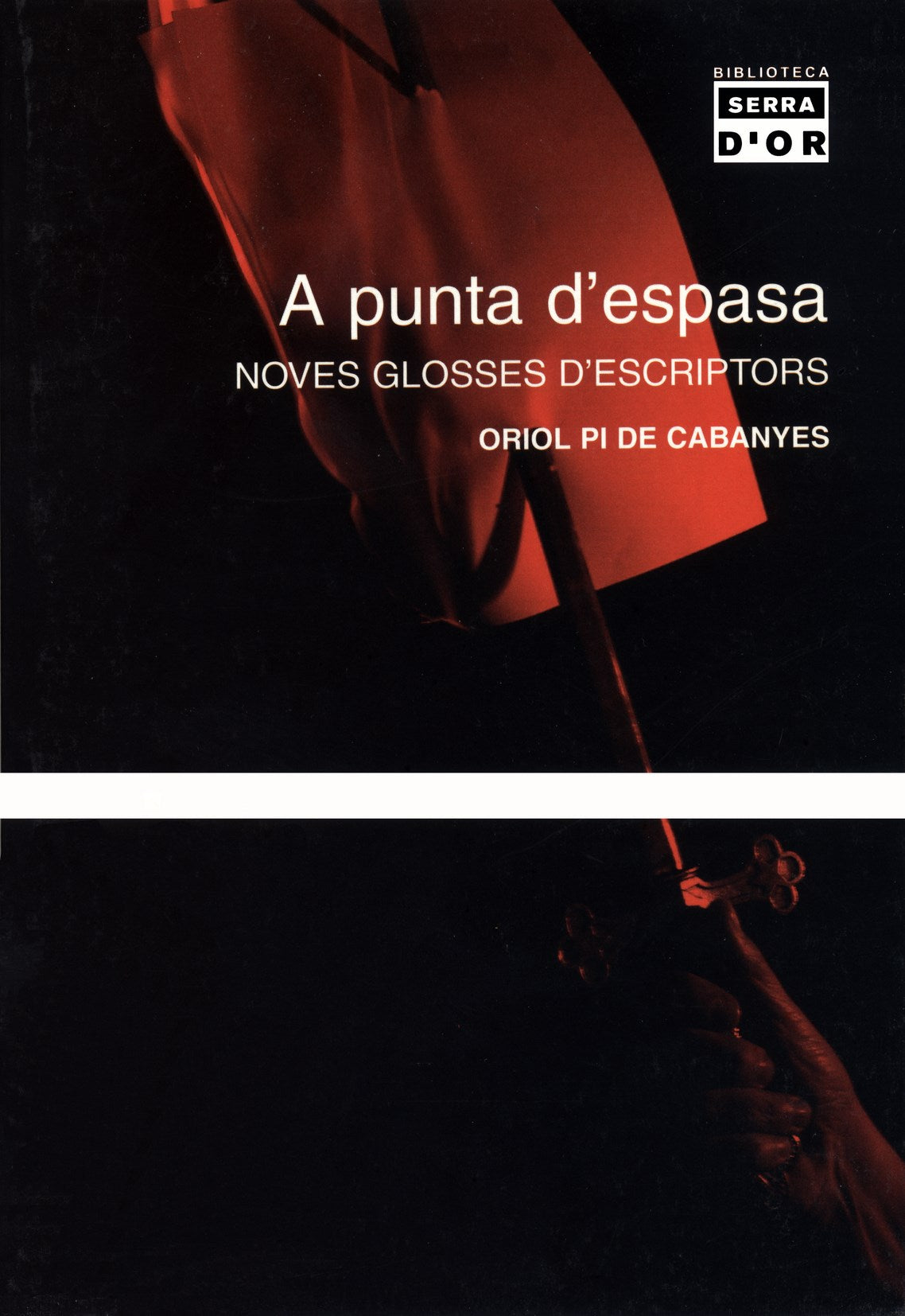 A punta d'espasa. Noves glosses d'escriptors, de Pi de Cabanyes | portada del libro