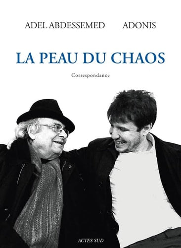 LA PEAU DU CHAOS, de Adel Abdessemed | portada del libro