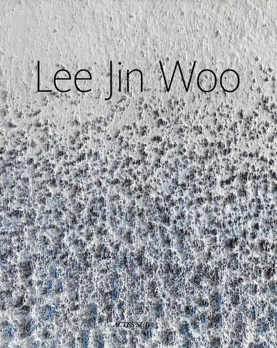 LEE JIN WOO, de Helena Staub | portada del libro