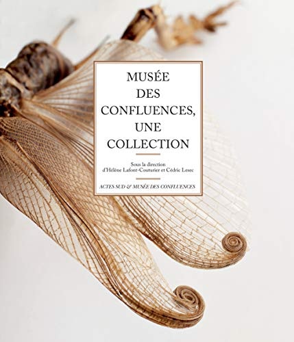 MUSEE DES CONFLUENCES (ALBUM), de Hélène Lafont-Couturier | portada del libro