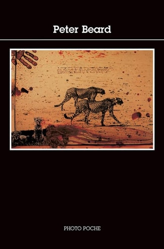PETER BEARD, de Beard | portada del libro