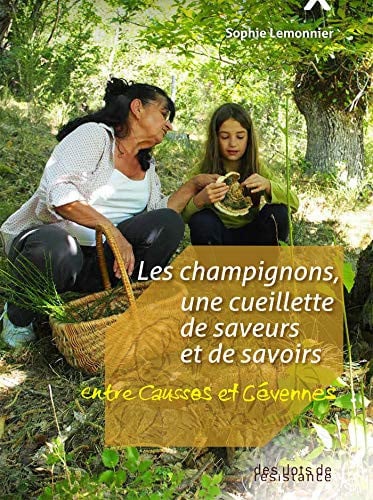 LES CHAMPIGNONS UNE CUEILLETTE DE SAVOIRS ET DE SAVEURS, de LEMONNIER SOPHI | portada del libro