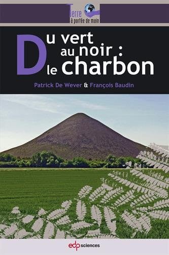 DU VERT AU NOIR LE CHARBON, de DE WEVER PATRIC | portada del libro