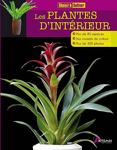 LES PLANTES D'INTERIEUR, de COLLECTIF | portada del libro