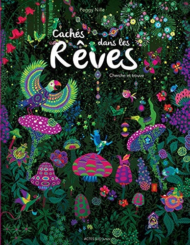 CACHES DANS LES REVES, de Peggy Nille | portada del libro