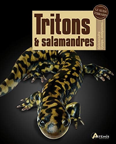 TRITONS ET SALAMANDRES, de EDMONDS D | portada del libro