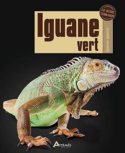 IGUANE VERT, de BRITTON-SWOFFOR | portada del libro